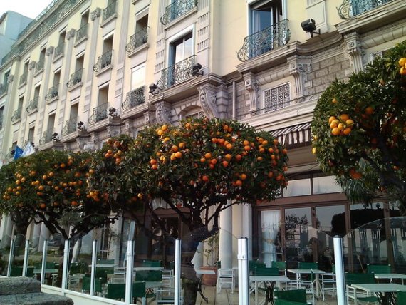 Монте-Карло улица море мандарины