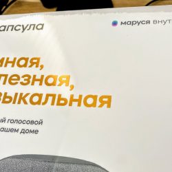 Купил Капсулу от Mail.ru и немедленно протестировал Марусю