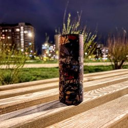 Обзор TWS-наушников Pamu Unique: aptX, многоликий чехол и толковый звук