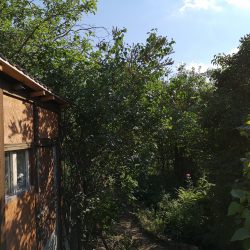 Память о навсегда ушедшем лете