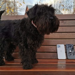 Apple iPhone 12 Pro: Антиобзор