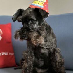 Мишель 11 лет