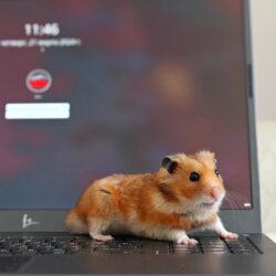 Fplus Flaptop i: Второй взгляд на российский ноутбук с операционной системой ОСнова