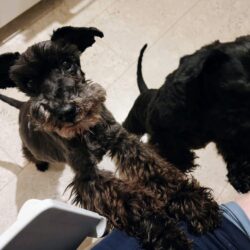 Мишели четырнадцать лет